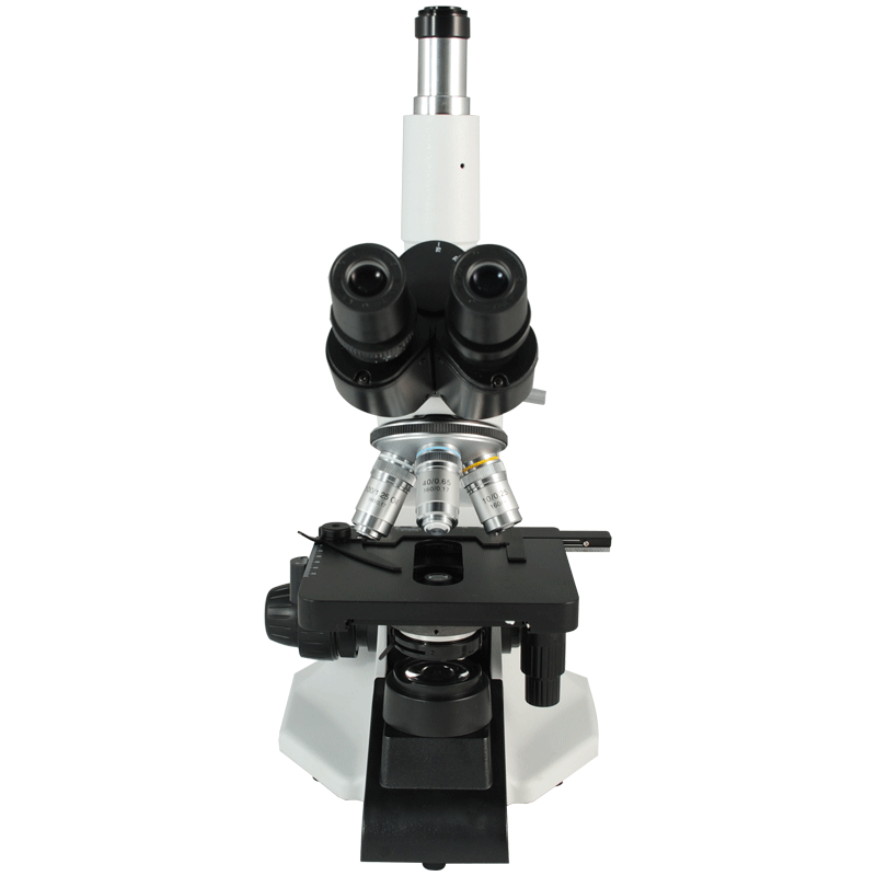 Biological Microscope